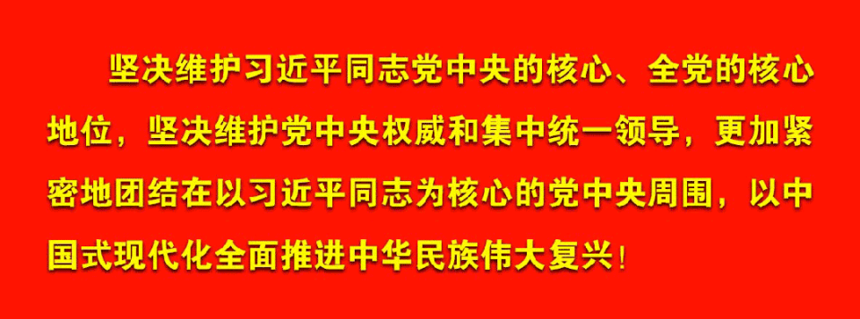 参加只是想, 我参加了跳, 丰富多彩的