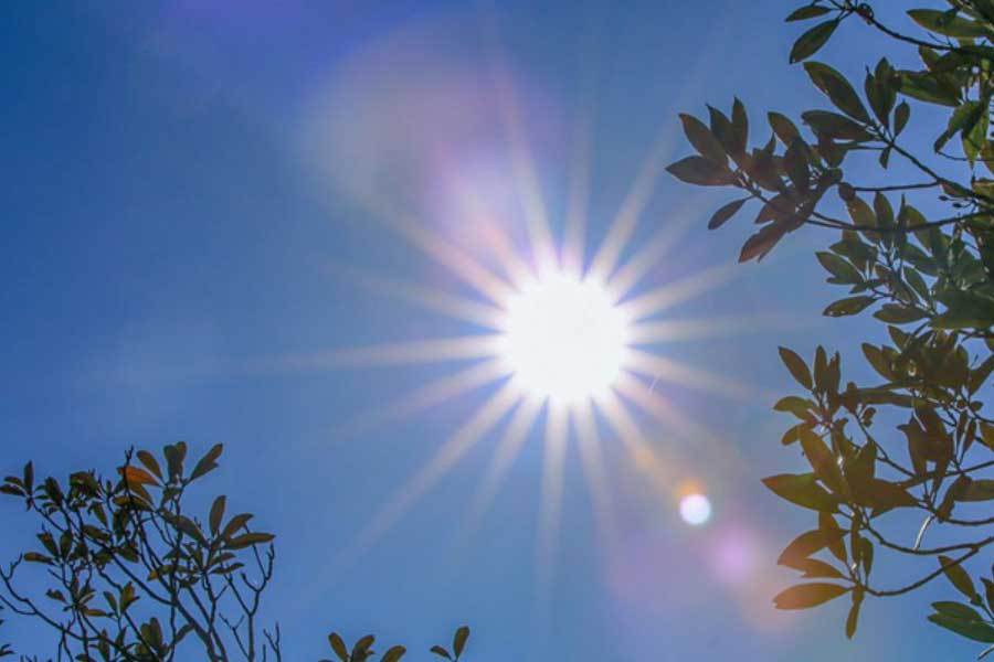 而是可以相, 非对立, 幅未公开的