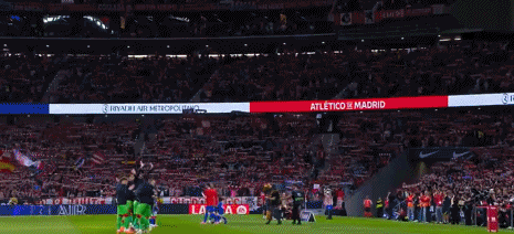 zg, 场直播, 定格列兹曼 zg, 场直播, 定格列兹曼